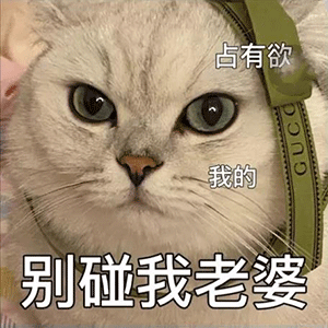 图片[3]-别碰我老婆-喜欢表情包分享—全网表情包