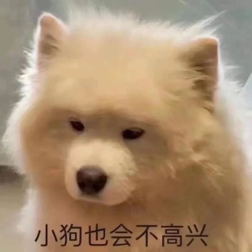 图片[18]-表情包-喜欢表情包分享—全网表情包