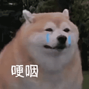 图片[6]-哦不可以色色-喜欢表情包分享—全网表情包