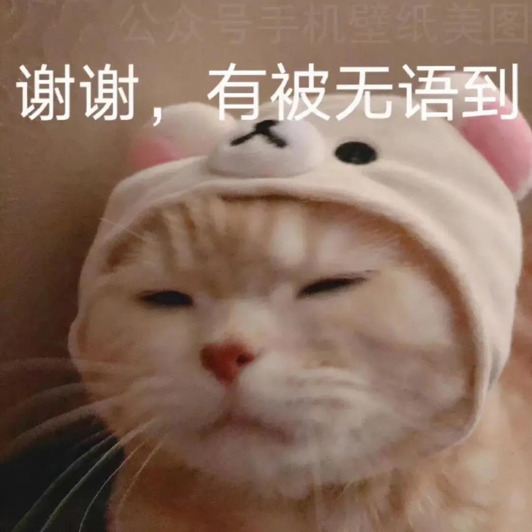 b8fafe5c00b51534d22c52f4fc7e3804