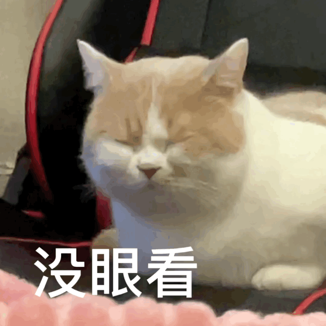 图片[23]-你们要的冰墩墩超火表情包-喜欢表情包分享—全网表情包