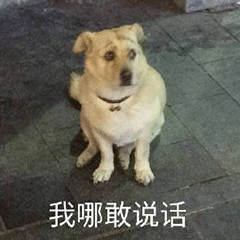 图片[18]-你要点脸-喜欢表情包分享—全网表情包