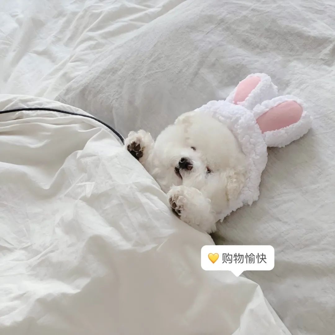 图片[27]-头像 | 非常不错的微信头像，Nice-喜欢表情包分享—全网表情包