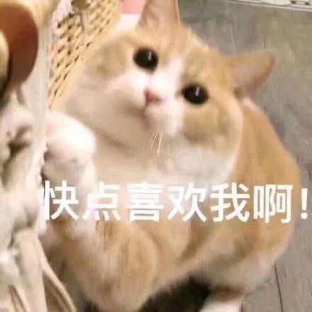 图片[37]-抖音热门表情包丨我今天巨巨巨巨巨巨巨想你-喜欢表情包分享—全网表情包