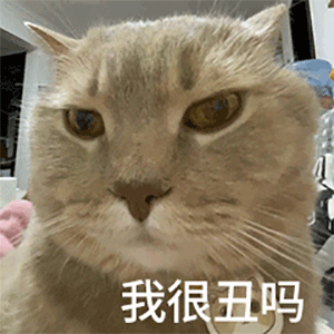 图片[44]-60个沙雕聊天斗图表情包-喜欢表情包分享—全网表情包