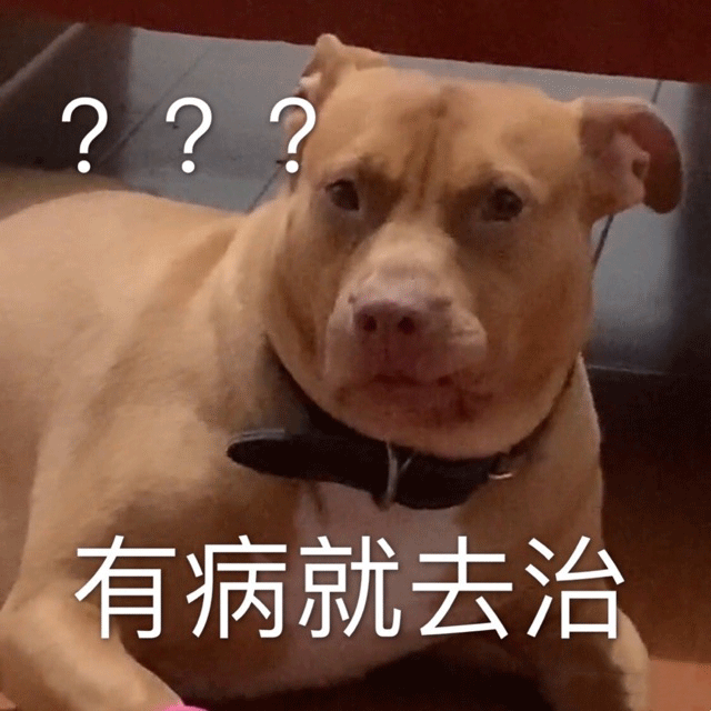 图片[9]-吃饼干吗 小妹妹-喜欢表情包分享—全网表情包