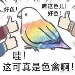 图片[8]-发的什么鸟图？-喜欢表情包分享—全网表情包
