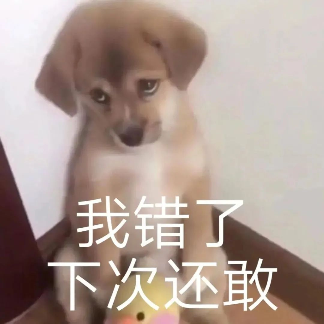 图片[48]-50个聊天阴阳怪气的表情包-喜欢表情包分享—全网表情包