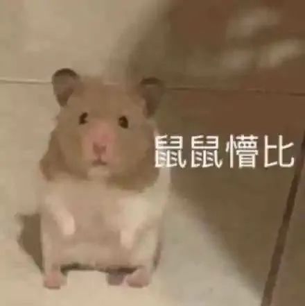 图片[8]-旋转拿捏-喜欢表情包分享—全网表情包