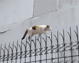 图片[1]-【GIF】啊…这…-喜欢表情包分享—全网表情包