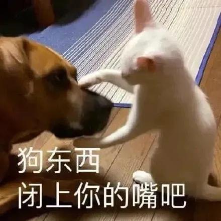 图片[10]-只想做你一个人的舔狗-喜欢表情包分享—全网表情包