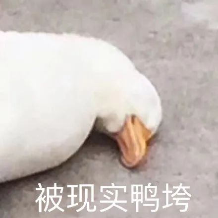图片[26]-有空一起尿尿-喜欢表情包分享—全网表情包