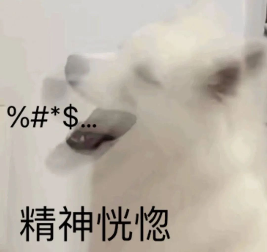 图片[12]-收图时间到~~-喜欢表情包分享—全网表情包