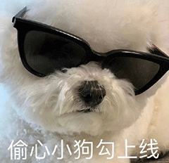 图片[10]-我猜你在拉屎-喜欢表情包分享—全网表情包
