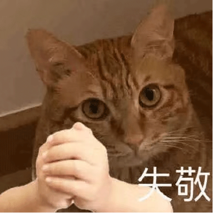 图片[9]-宝贝 我来了-喜欢表情包分享—全网表情包