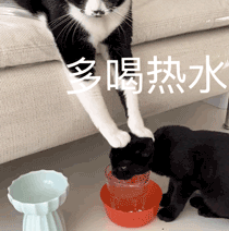图片[58]-宝！亲我这里！-喜欢表情包分享—全网表情包