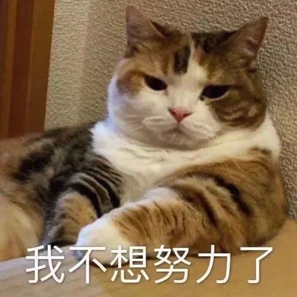 图片[4]-新打工人表情包-喜欢表情包分享—全网表情包