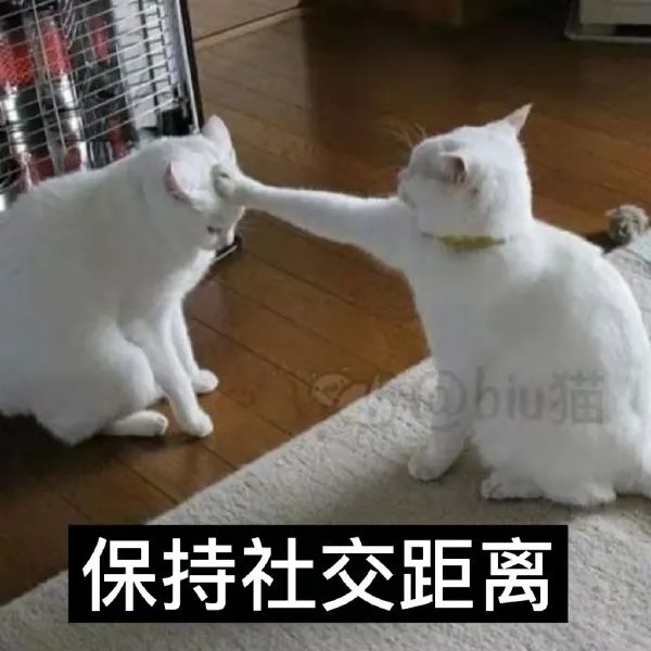 图片[8]-戴好口罩 人人有责-喜欢表情包分享—全网表情包