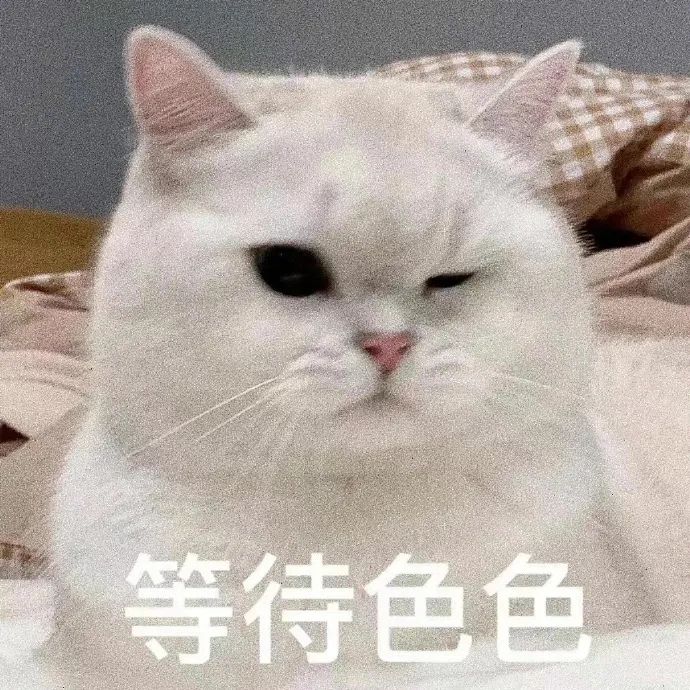 图片[16]-表情包-喜欢表情包分享—全网表情包