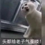 图片[18]-沙雕表情包-喜欢表情包分享—全网表情包