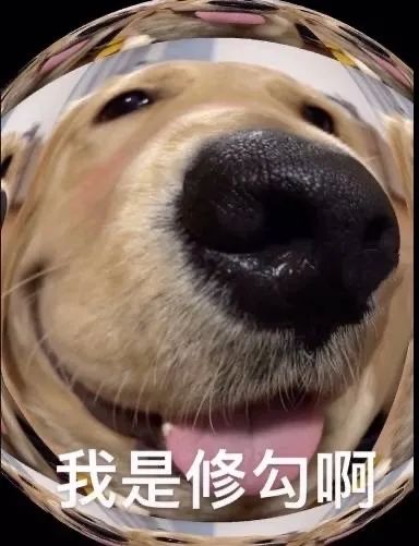 图片[10]-老婆开门-喜欢表情包分享—全网表情包