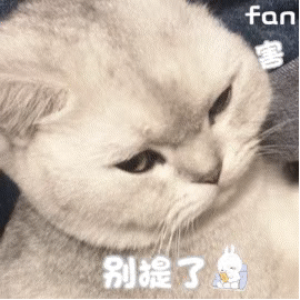 图片[29]-聊天可爱表情包-喜欢表情包分享—全网表情包