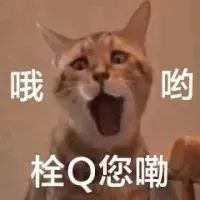 图片[18]-栓 Q 您嘞-喜欢表情包分享—全网表情包