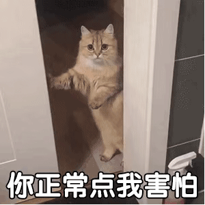 图片[1]-有点意思-喜欢表情包分享—全网表情包