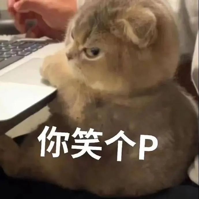 图片[12]-垮起个豹豹脸-喜欢表情包分享—全网表情包