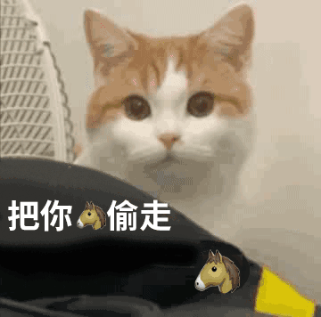 图片[3]-周末好！收图时间到-喜欢表情包分享—全网表情包