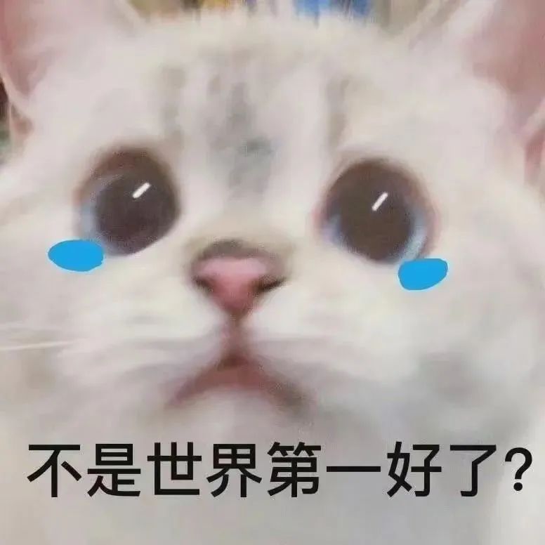 图片[12]-有点意思-喜欢表情包分享—全网表情包