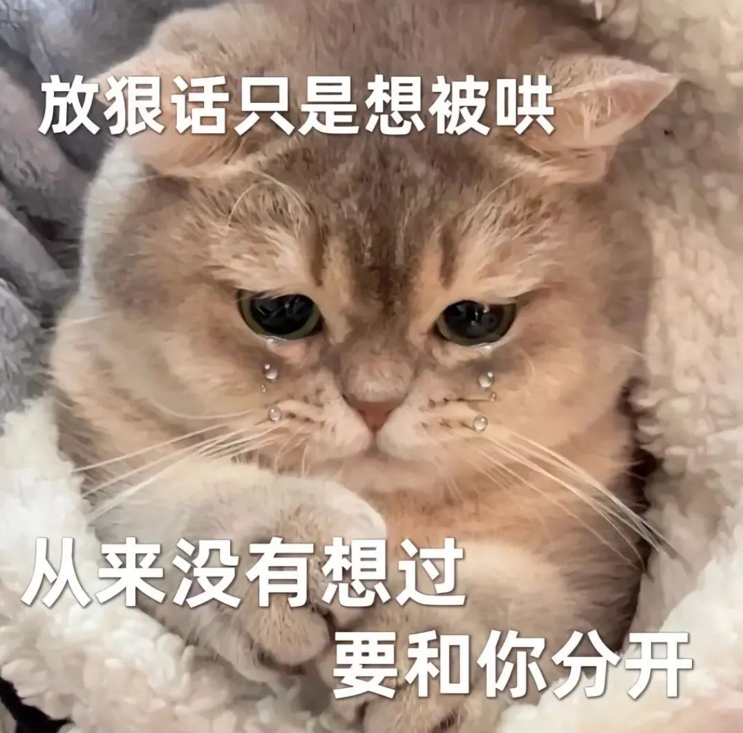 图片[5]-伤心流泪猫猫头表情包-喜欢表情包分享—全网表情包