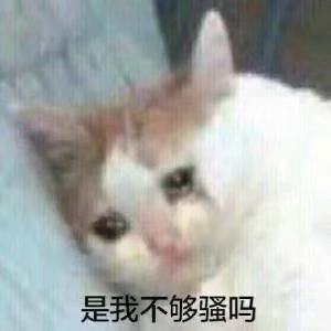 图片[14]-实用斗图表情包-喜欢表情包分享—全网表情包
