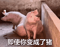 图片[23]-60个沙雕聊天斗图表情包-喜欢表情包分享—全网表情包