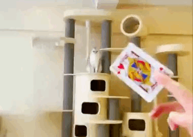 图片[1]-【GIF】天下武功无坚不摧，唯快不破-喜欢表情包分享—全网表情包