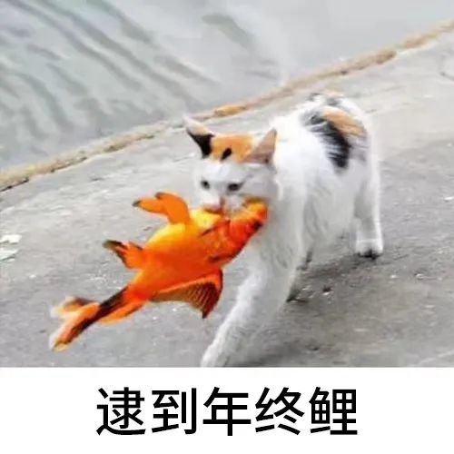 图片[10]-有没有女孩子一起过圣诞节-喜欢表情包分享—全网表情包