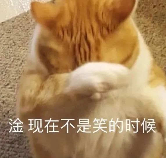 图片[6]-让你不听话 打你屁屁-喜欢表情包分享—全网表情包