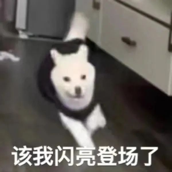 图片[3]-表情包-喜欢表情包分享—全网表情包