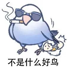 图片[11]-最近热门鸟语表情-喜欢表情包分享—全网表情包