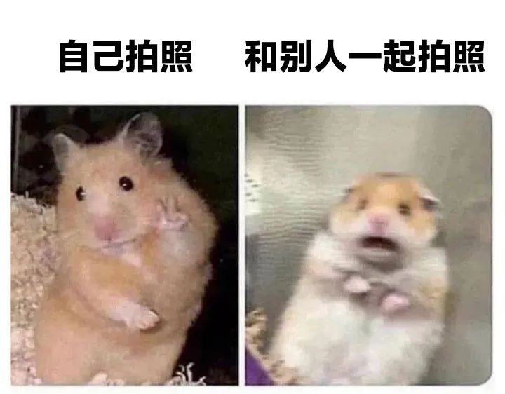 图片[5]-过于真实！-喜欢表情包分享—全网表情包