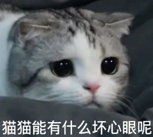 图片[11]-没见过别人亲热吗-喜欢表情包分享—全网表情包