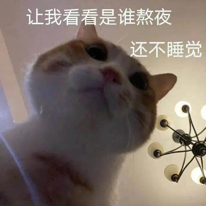 图片[21]-表情包-喜欢表情包分享—全网表情包