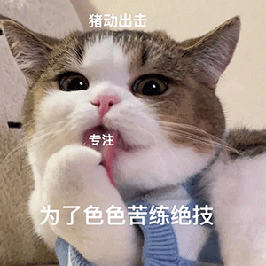 图片[2]-果然是在做羞羞的事啊-喜欢表情包分享—全网表情包