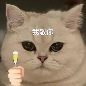 图片[11]-快哄我-喜欢表情包分享—全网表情包