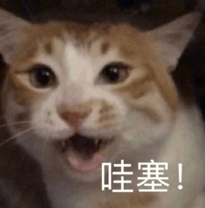图片[17]-看到这个巴掌了吗-喜欢表情包分享—全网表情包