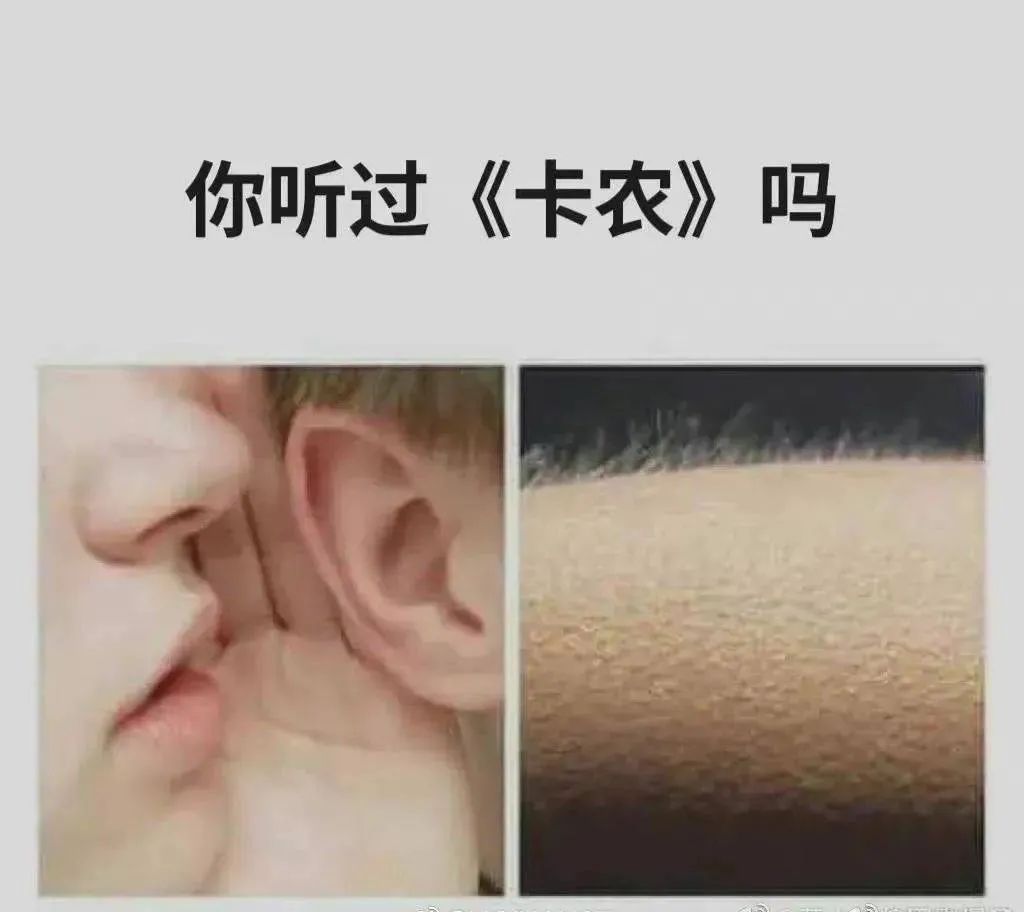 图片[14]-一整个被尬住-喜欢表情包分享—全网表情包