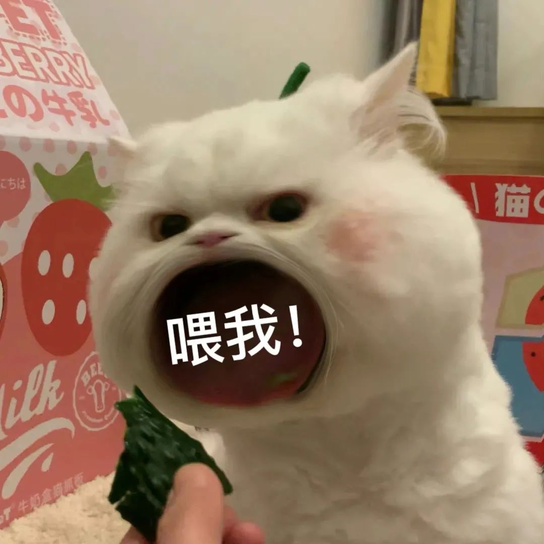 图片[18]-45个聊天撒娇必用大嘴猫表情-喜欢表情包分享—全网表情包