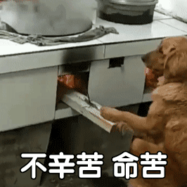 图片[12]-啵叽-喜欢表情包分享—全网表情包