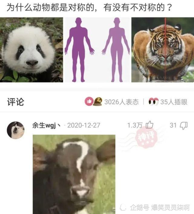 null3d01f8a37b29710b
