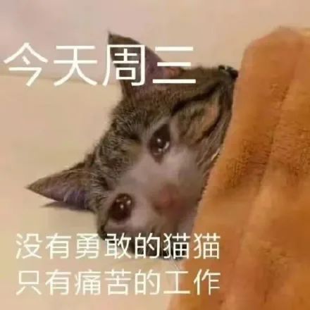 图片[19]-中午好 发表情啦-喜欢表情包分享—全网表情包